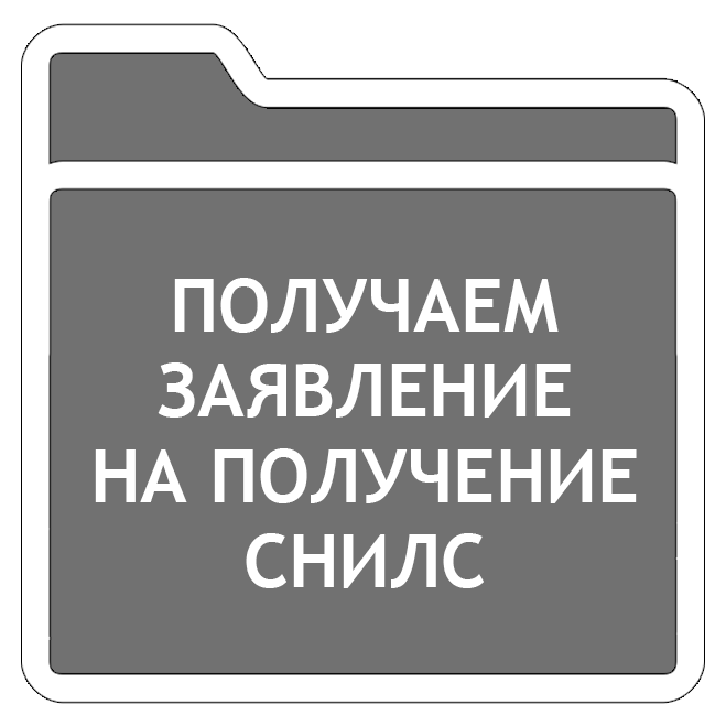 Снилс образец пустой